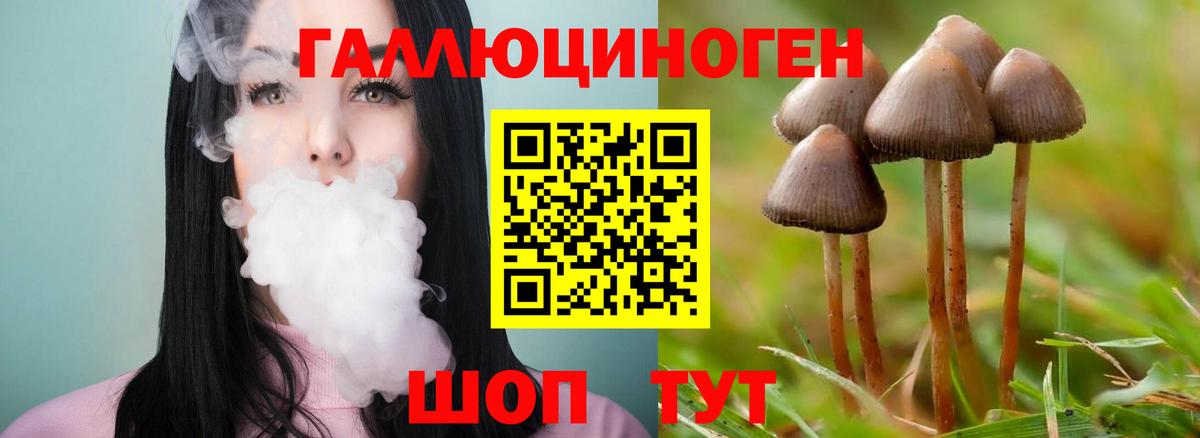 Псилоцибиновые грибы GOLDEN TEACHER Казань